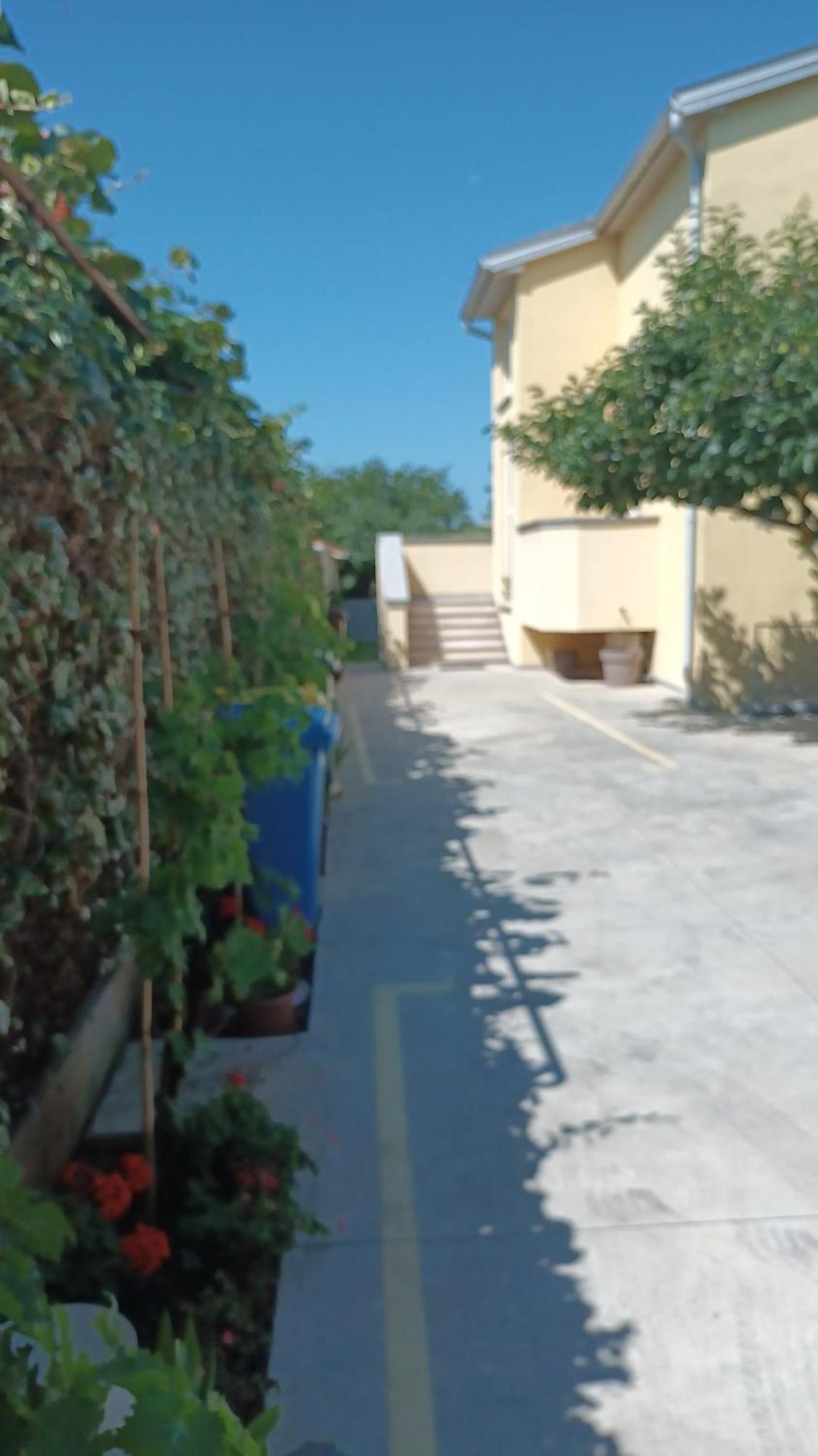 Apartmán Monte Magno *
