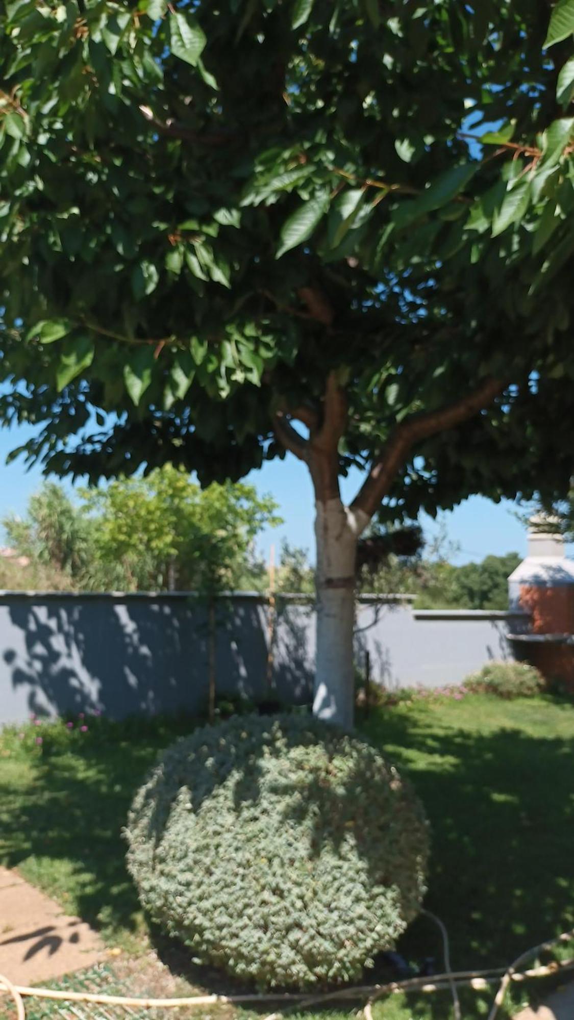 Apartmán Monte Magno *