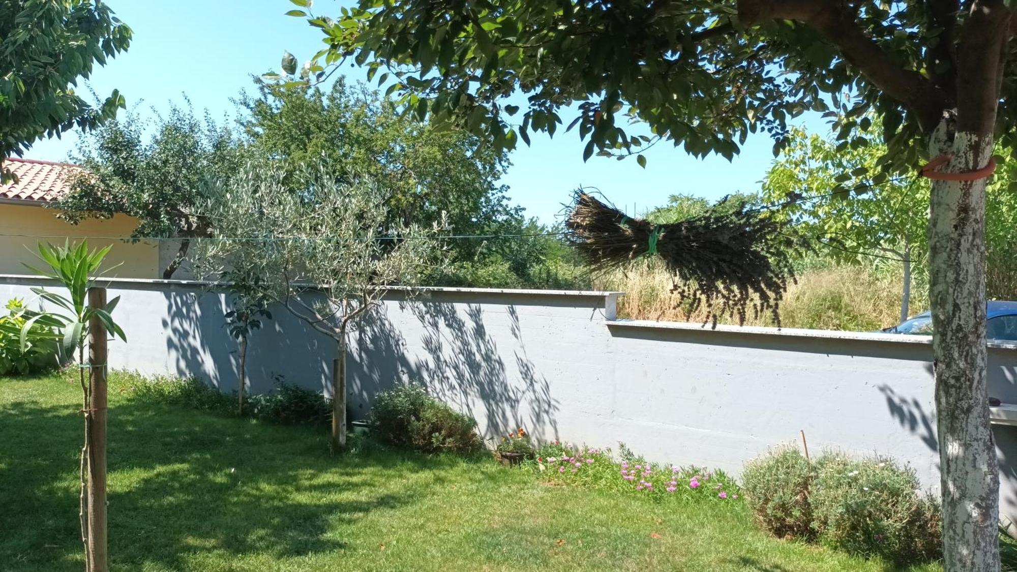 Monte Magno Apartmán Pula